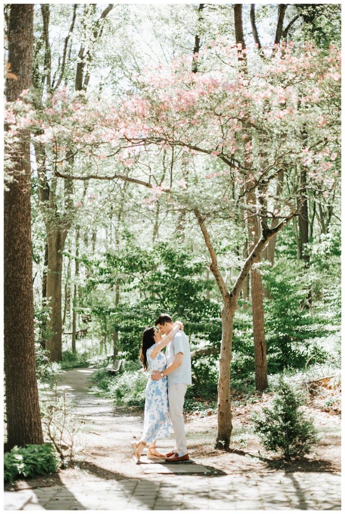 Central Pennsylvania Woodsy Engagement